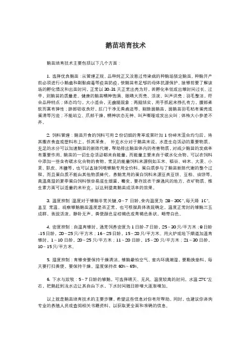 鹅苗培育技术