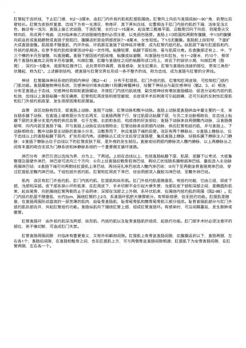 肛管、直肠的解剖概要