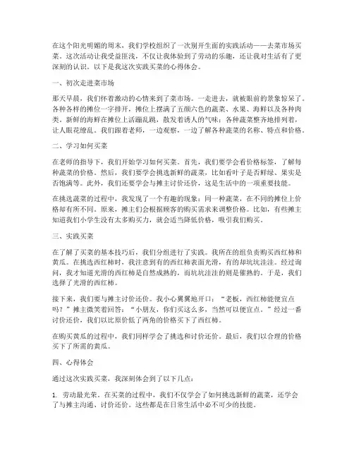 小学生实践买菜心得体会