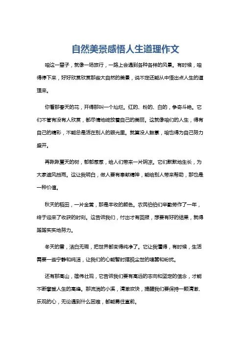 自然美景感悟人生道理作文