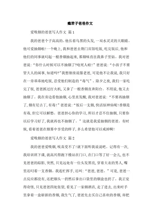 瘾君子爸爸作文