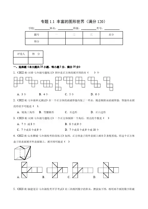 专题1.1 丰富的图形世界(压轴题综合测试卷)(北师大版)(原卷版)
