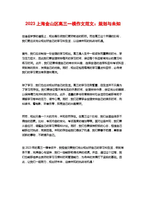 2023上海金山区高三一模作文范文：规划与未知