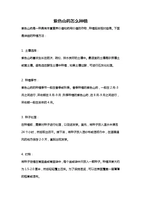 紫色山药怎么种植