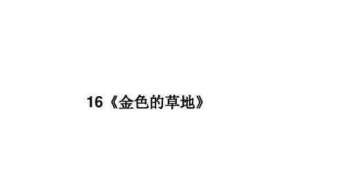 部编版小学语文三年级上册16《金色的草地》 课件(共29张PPT)