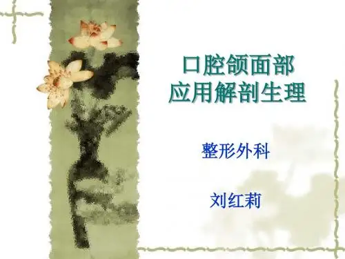 2015第二十五章口腔颌面部应用解剖生理