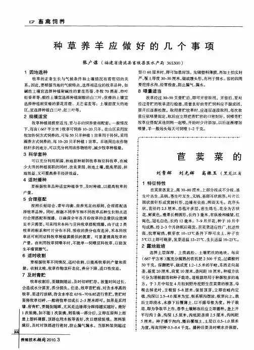 苣荬菜的人工栽培