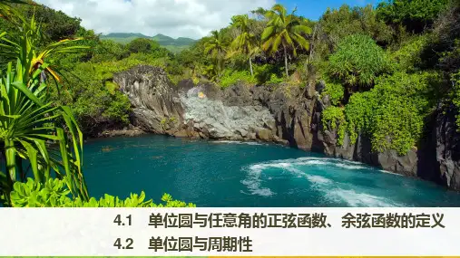 高中数学北师大版必修四课件：第一章 4.1 单位圆与任意角的正弦函数、余弦函数的定义-4.2 单位圆与周期性