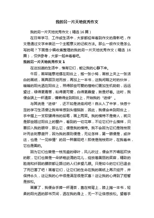 我的另一片天地优秀作文