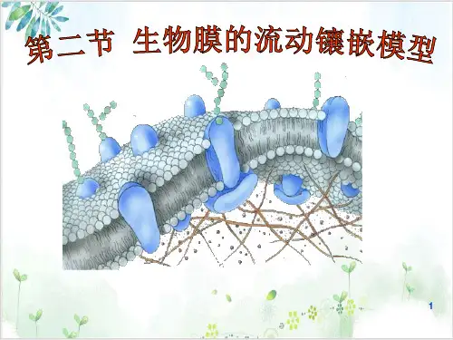 人教生物必修1生物膜的流动镶嵌模型(30张)-PPT优秀课件