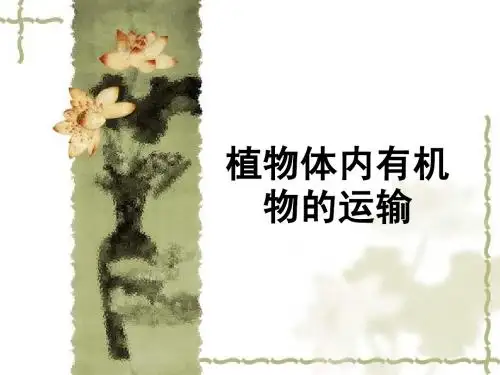 植物体内有机物的运输