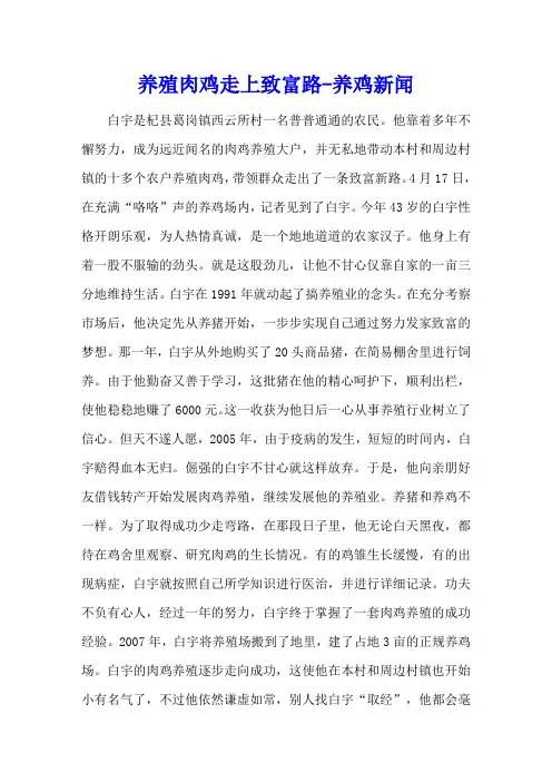 养殖肉鸡走上致富路 - 养鸡新闻