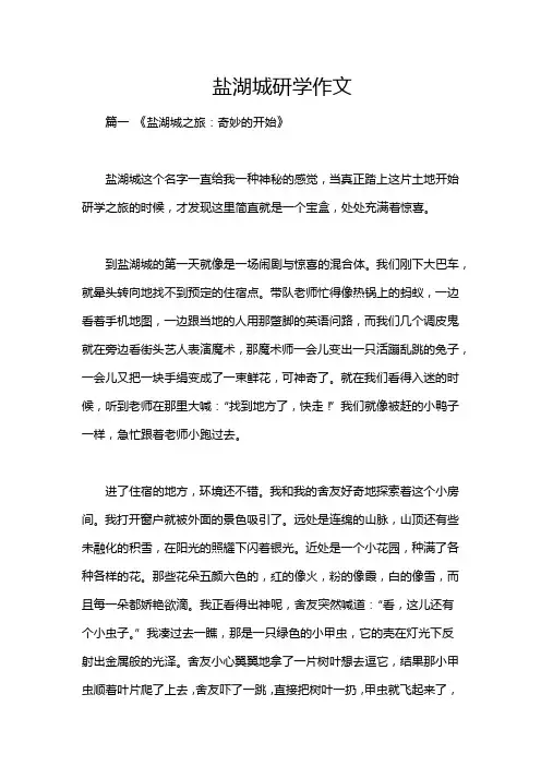 盐湖城研学作文