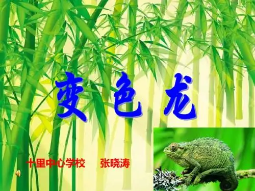 苏教版五年级上《变色龙》课件