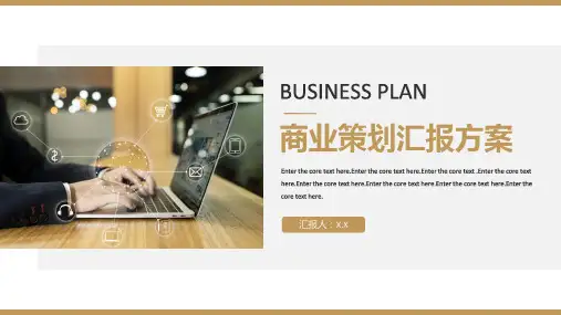 商业策划汇报方案ppt