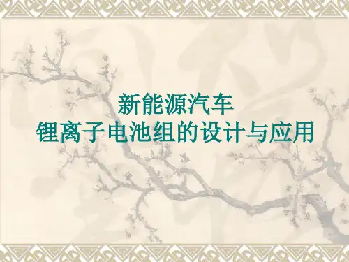 动力电池pack-(22)