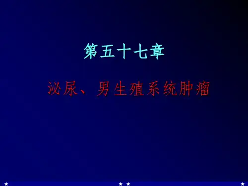 泌尿系肿瘤
