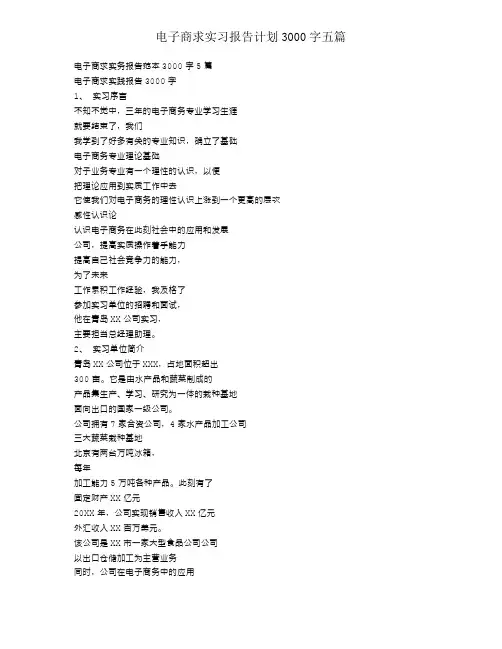 电子商务实习报告计划3000字五篇