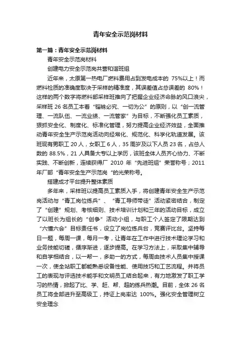 青年安全示范岗材料