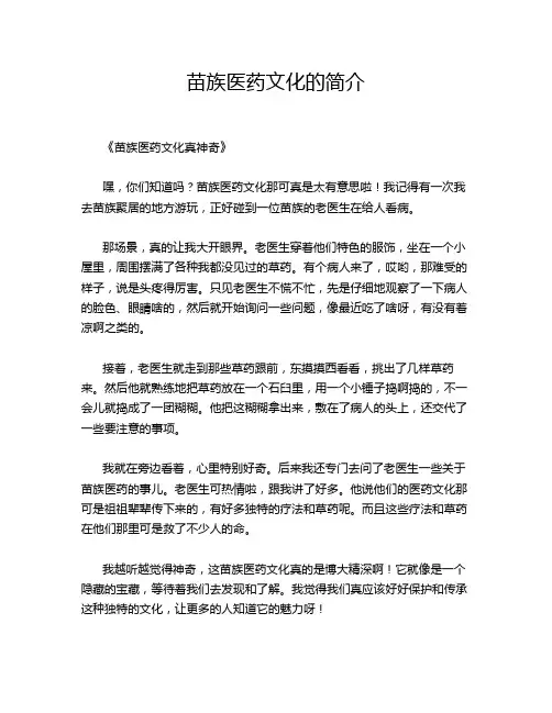 苗族医药文化的简介