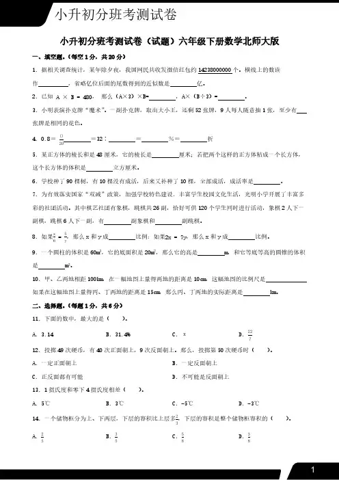小升初分班考测试卷(试题)(含答案)2023-2024学年六年级下册数学北师大版 (1)