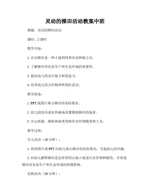 灵动的梯田活动教案中班