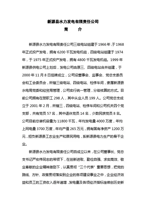 新源县水力发电有限责任公司简介