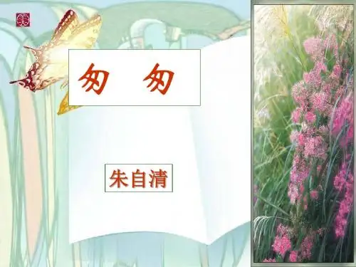 人教新课标六年级语文下册《2、匆匆》PPT课件
