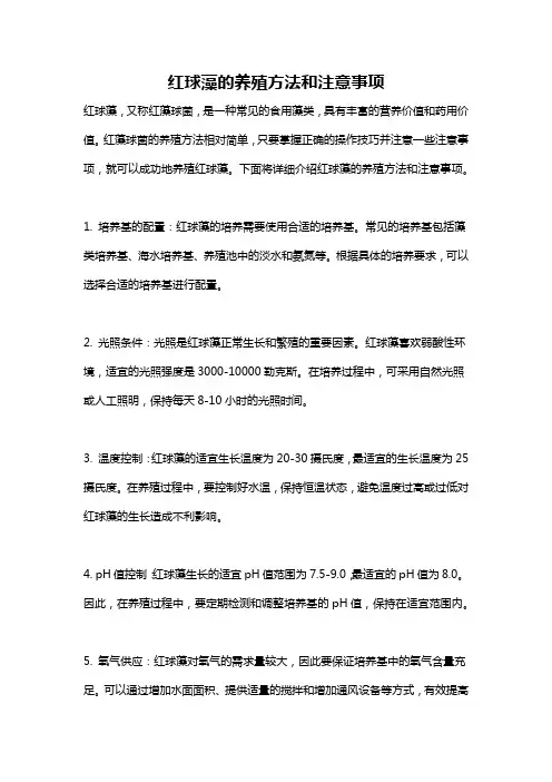 红球藻的养殖方法和注意事项