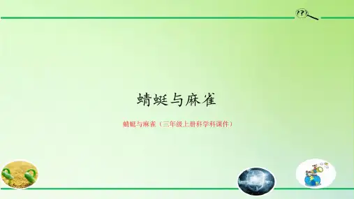 蜻蜓与麻雀(三年级上册科学科课件)
