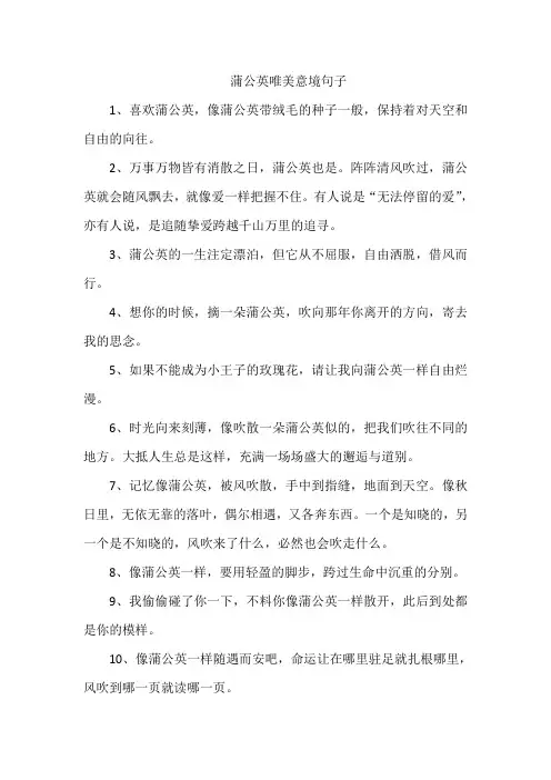 蒲公英唯美意境句子