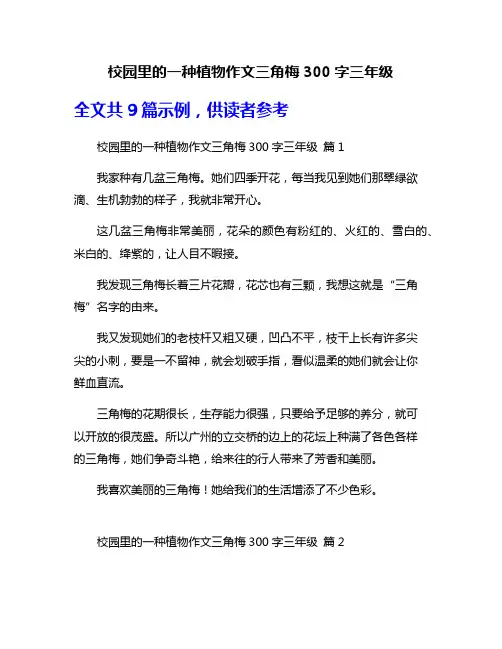 校园里的一种植物作文三角梅300字三年级