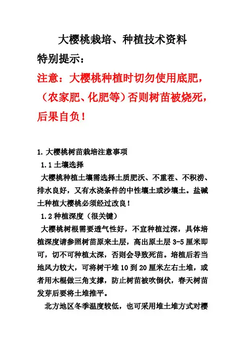 大樱桃种植技术