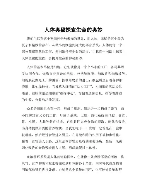 人体奥秘探索生命的奥妙