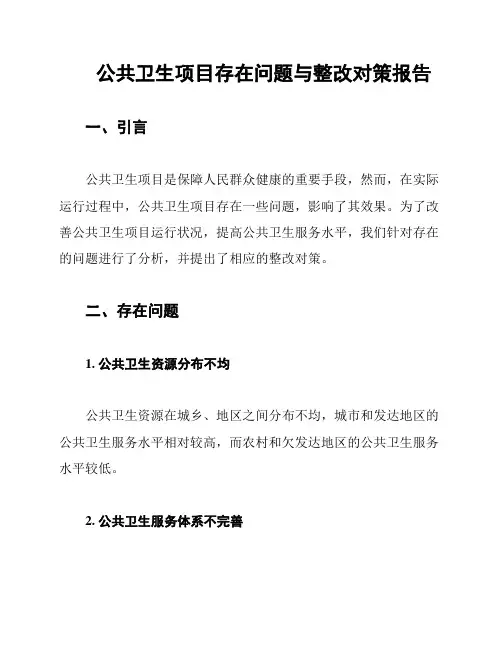 公共卫生项目存在问题与整改对策报告