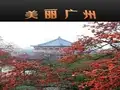 介绍广州