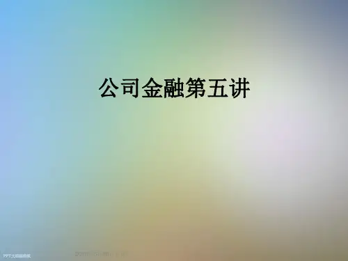 公司金融第五讲