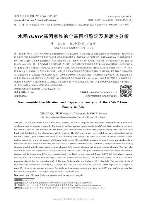 水稻OsRIP_基因家族的全基因组鉴定及其表达分析