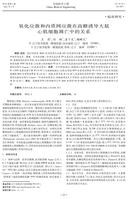 氧化应激和内质网应激在高糖诱导大鼠心肌细胞凋亡中的关系