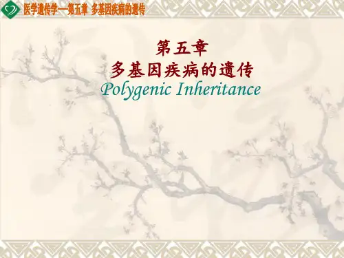 医学遗传学课件第五章 多基因疾病的遗传