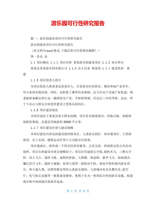 游乐园可行性研究报告