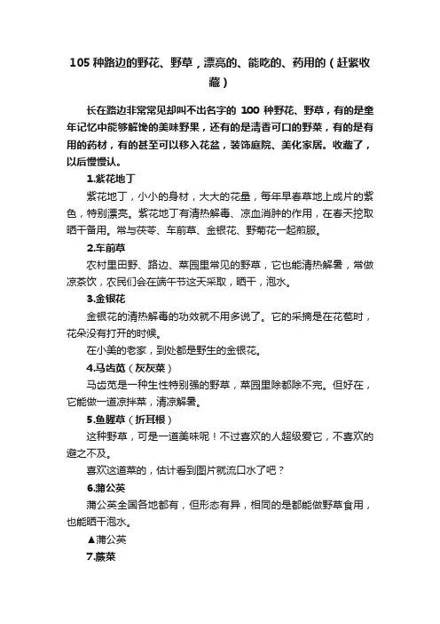 105种路边的野花、野草，漂亮的、能吃的、药用的（赶紧收藏）