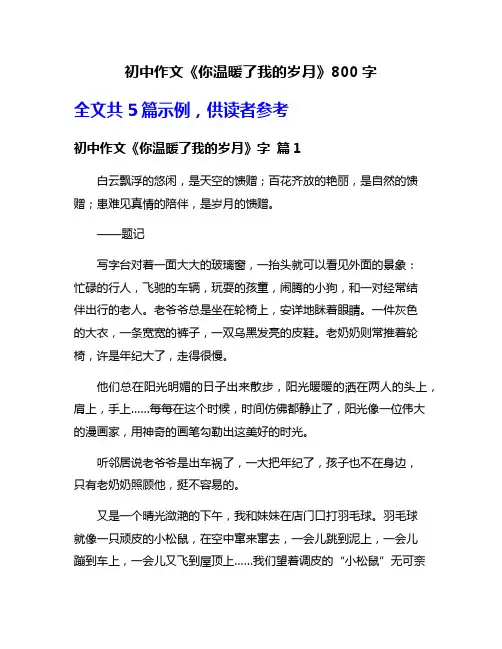 初中作文《你温暖了我的岁月》800字