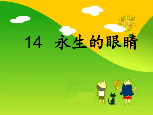 永生的眼睛PPT课件