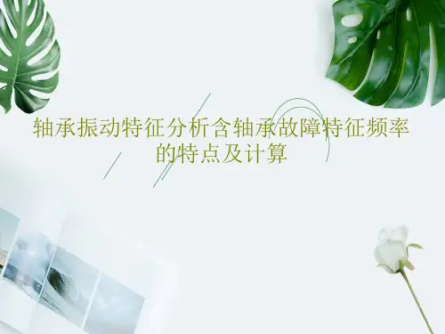 轴承振动特征分析含轴承故障特征频率的特点及计算72页PPT