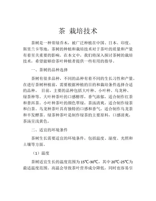 茶 栽培技术
