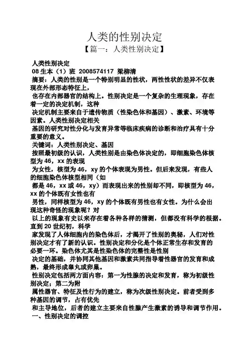 人类的性别决定