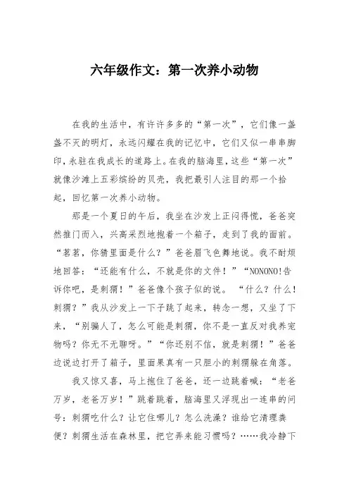 六年级作文：第一次养小动物