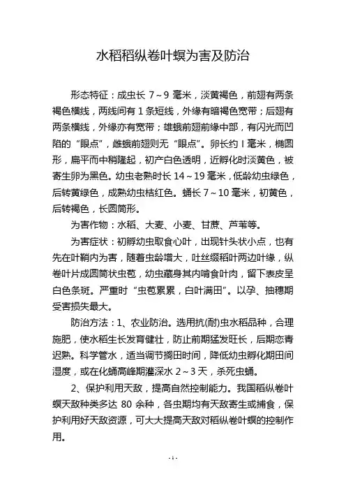 水稻稻纵卷叶螟为害及防治