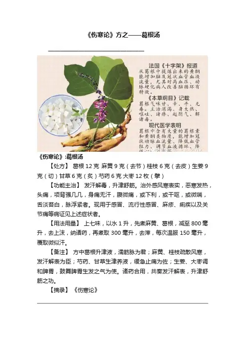 《伤寒论》方之——葛根汤